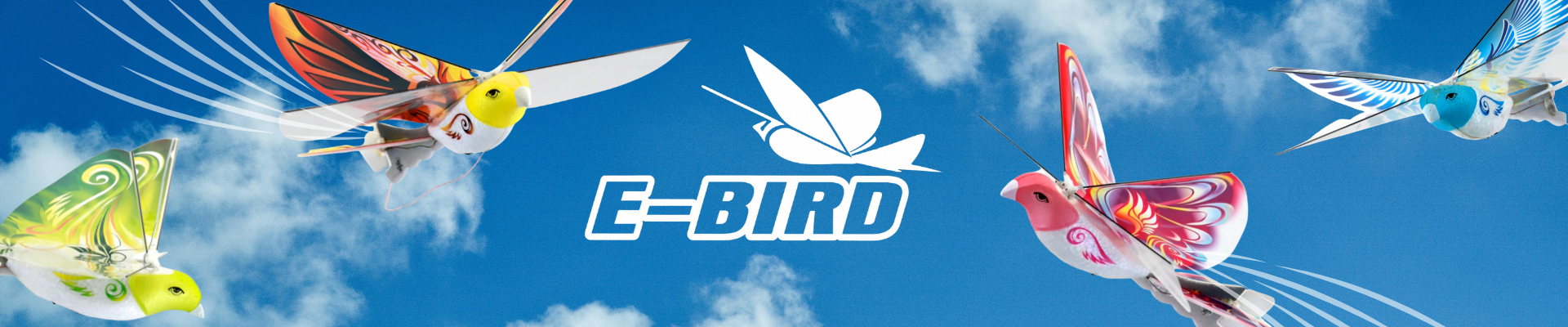 eBird