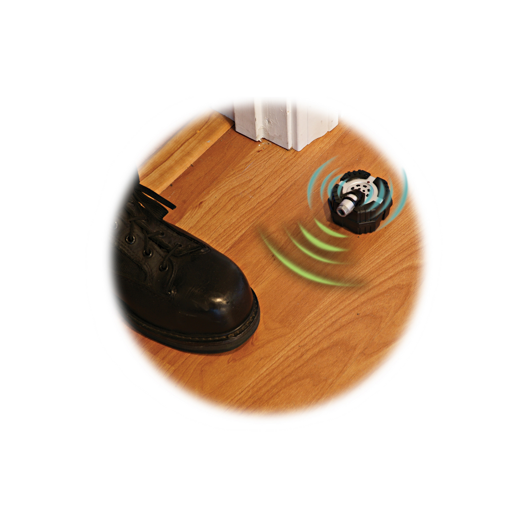 Micro Motion Alarm