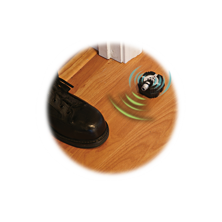 Micro Motion Alarm