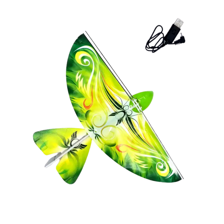 Self Flying eBird