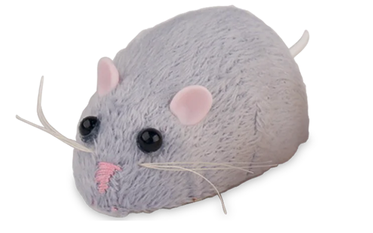 Meddling Mouse