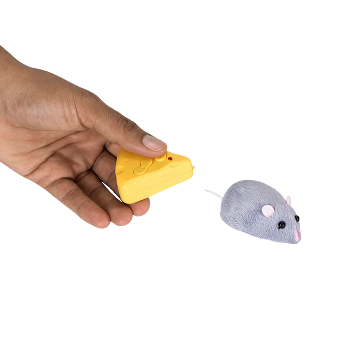Meddling Mouse