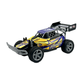 Nitro Series 1:18 RC Car