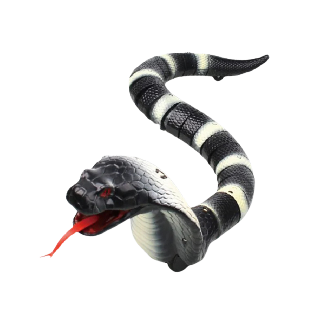 Slithering Snake