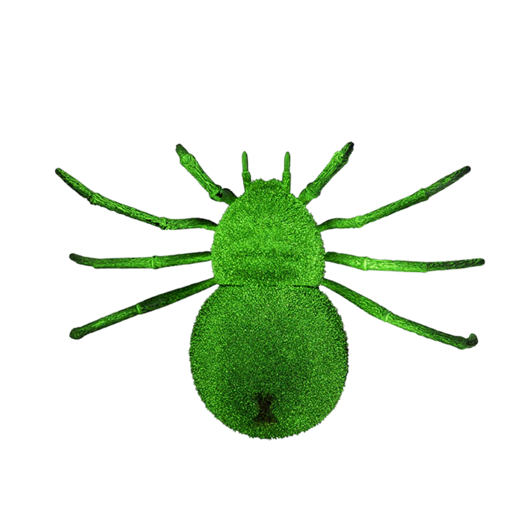 Spooky Spider
