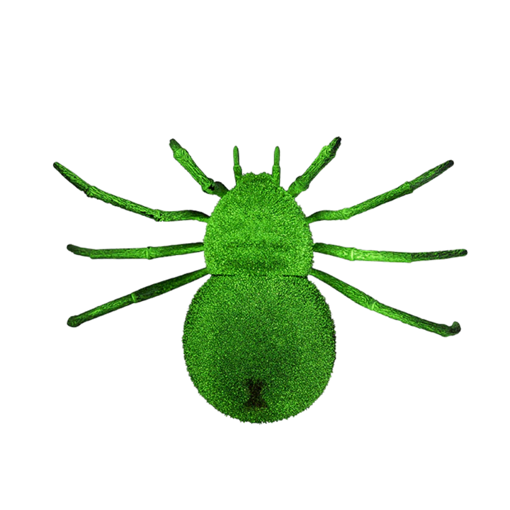 Spooky Spider