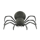 Spooky Spider