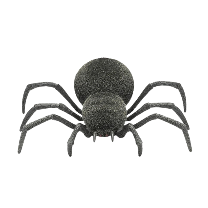 Spooky Spider