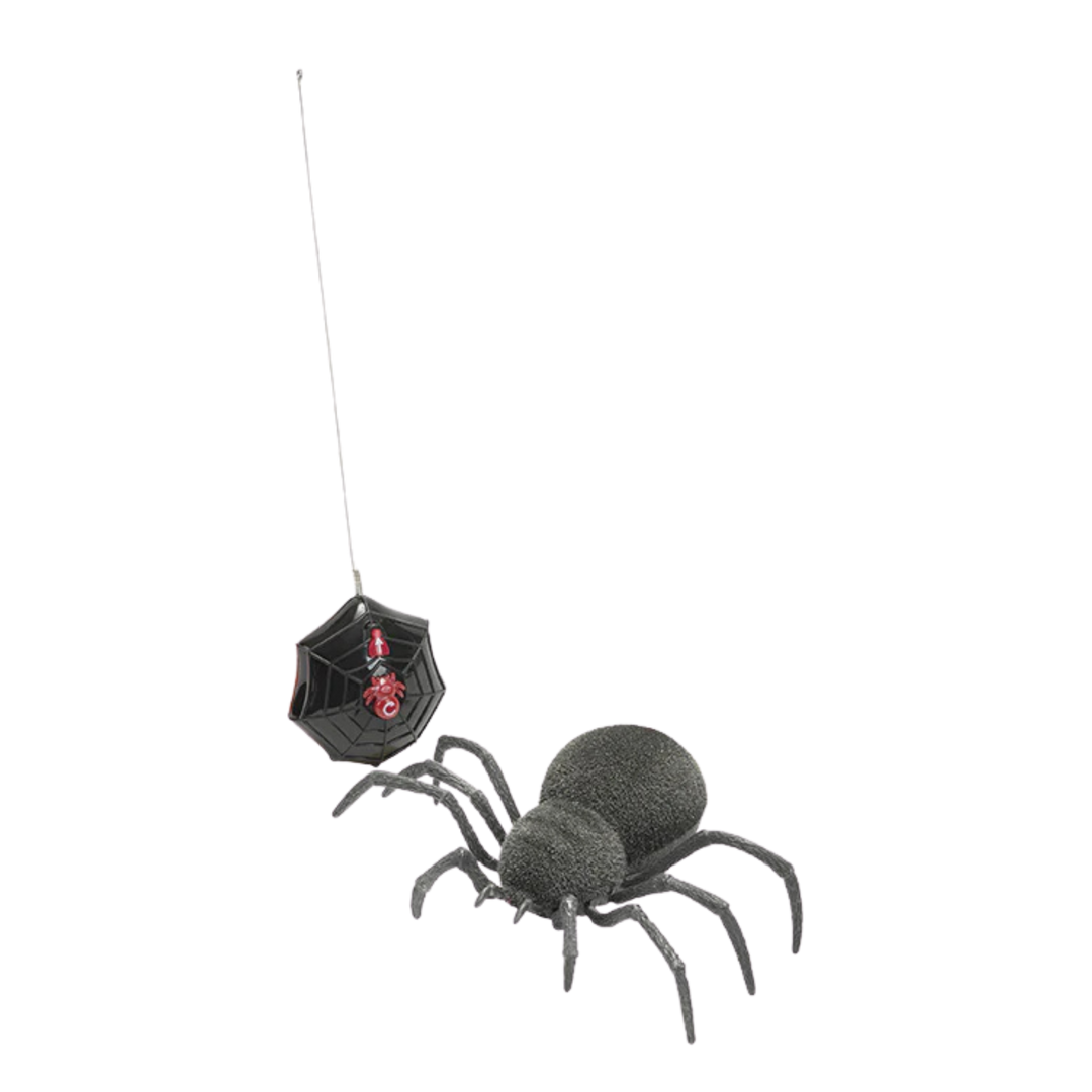 Spooky Spider