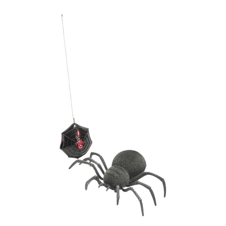 Spooky Spider
